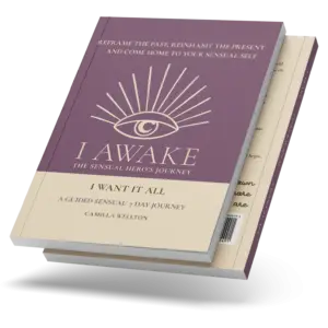 I Want It All by Camilla Wellton, I AWAKE Sensual Hero&rsquo;s Journey book cover