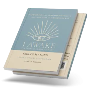 Seduce My Mind by Camilla Wellton, I AWAKE Sensual Hero&rsquo;s Journey book cover