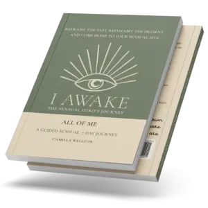 All of Me by Camilla Wellton, I AWAKE Sensual Hero&rsquo;s Journey book cover