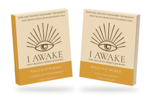 What If It Works? theory book and companion workbook, with page-count proportions and soft shadows