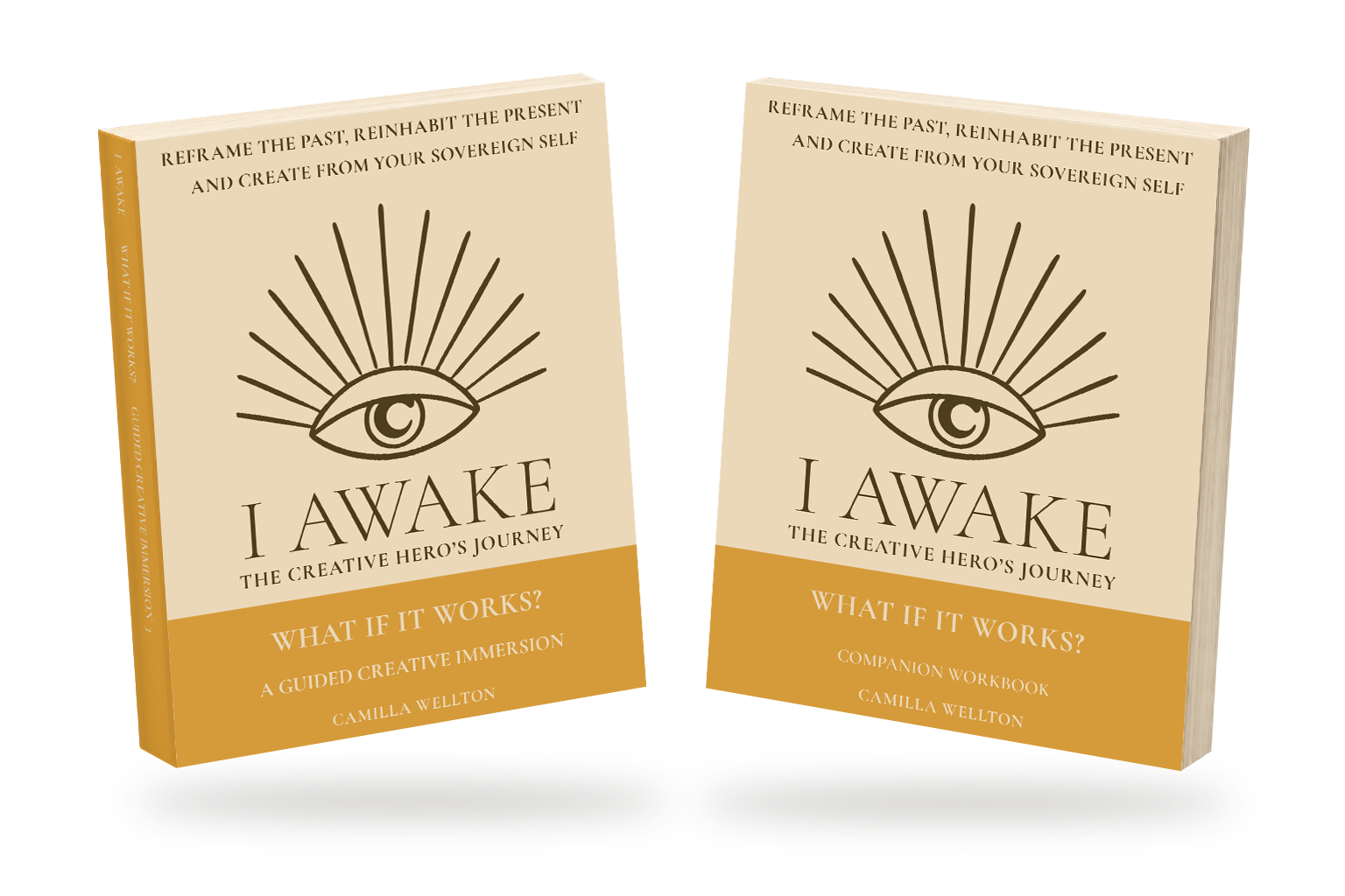 What If It Works? theory book and companion workbook, with page-count proportions and soft shadows